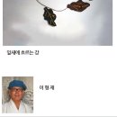 춘천생명의 숲 창립 20주년 기념 초대전 이미지