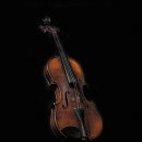 바이올린 이미지