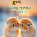 루모스학원