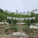 햇빛농장 이미지