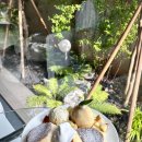 청춘비어 이미지