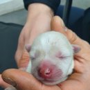 울동네세탁소 이미지