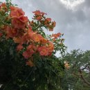 해원민박 | 🍃외암리민속마을ㅣ조용한 한옥 마을에서의 힐링캠프