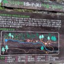 고종시마실길 이미지