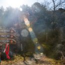 대부해솔길 6-2코스(순환코스) 이미지