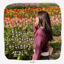 CU 서교타워점 | 홍대미용실 준오헤어 서교타워점 서리 디자이너 탈색없이 밝은 애쉬브라운 염색 만족 후기