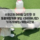 새말안길 이미지