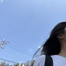 자진 퇴사 후 실업급여 | 탑텐 J-STAFF 단기계약 후기