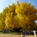 반계1리마을회관 이미지