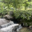 매화골향기 이미지