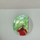 사선대 카페 【foretde nord】 이미지