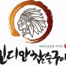 인디안 건너편 이미지