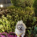 24시 더휴동물의료센터 이미지