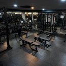 트루 휘트니스(True) 이미지