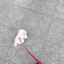 금비동물병원 이미지