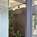 황소네집 이미지