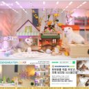 춘천 고양이집 이미지