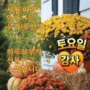 ☆ 홀로 산다는 말 뜻이 ~ 이미지