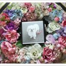 복실이 PC 이미지