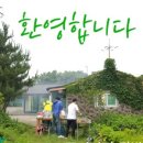 귤밭민박