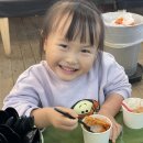 킹콩이농장
