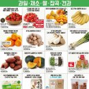 황금당식품 이미지