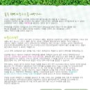 핑코애견 이미지