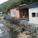 돌티미식당 이미지