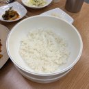 다사읍 행정복지센터 서재출장소 | 대구 서재 맛집 낙지볶음과 칼국수의 조합이 맛있는 [낙칼 서재점]