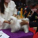 미스터브리더 이미지