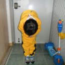 용두어린이집 이미지