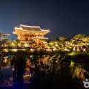 세종호수공원 야간 산책로 이미지