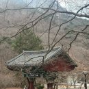 공주 먹거리 동학사 꽈배기 행복한찹쌀꽈배기