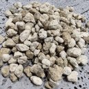 경석이네 | 화분배수 고민? 경석·폴라이트·난석·휴가토, 결국 다 같은 거였어요