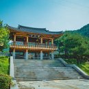 호명산잣나무숲속캠핑장 이미지