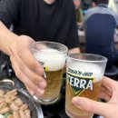 인형의 거리(소) | [서울 등촌] 퀄리티 좋은 등촌역 소곱창 맛집 연미소곱창 후기