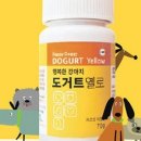 행복한 강아지 이미지