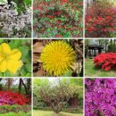 감리교신학대학교 대학원 이미지