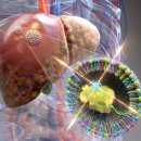 한국유전자연구소 이미지