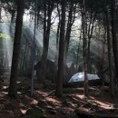 축령산 자연휴양림 야영번개 그리고 산행 이미지