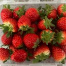 신상농장 2 이미지