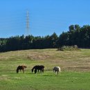 신용목장 이미지