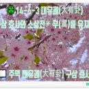 부효사 이미지