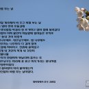 바람 부는 날 이미지