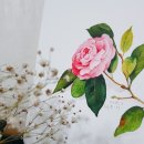 수채화캘리그라피 이미지