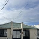 게으른고양이 | 제주 바다앞 여성전용 구좌숙소 고양이가 있는 게으른하루 내돈내산