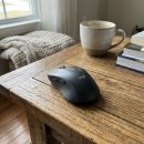 평온 | 밤샘 작업도 평온하게 로지텍 M650 만난 후기