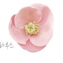 에이치샵피부하우스 이미지