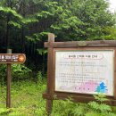 산록남로 이미지