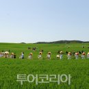 이강수농장 이미지